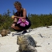 iguana_cuban_jar_v_1722_cub3666.jpg